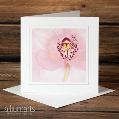 Antique Orchid by Allium Arts shows the majority of an pink orchid, focussing your attention to the great detail in the centre.