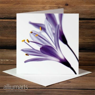 Asparagus Bloom by Allium Arts shows two asparagus flowers, presented on a white background.