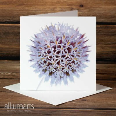 Flowering Thistle by Allium Arts shows an intricate purple thistle, presented on a white background.