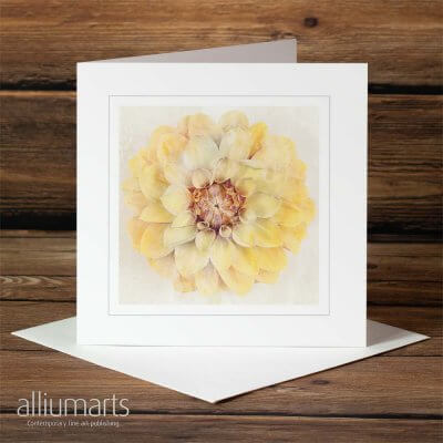 Frosted Chrysanthemum by Allium Arts shows a yellow chrysanthemum covered in a dusting of frost, presented on a subtle textured background.