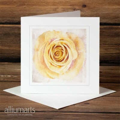Frosted Rose by Allium Arts shows a yellow rose covered in a dusting of frost, presented on a subtle textured background.