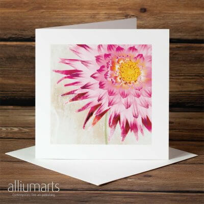 Petals by Allium Arts shows a large pink flower with a striking yellow centre, overlaid with subtle textures inspired by the great Italian painters.