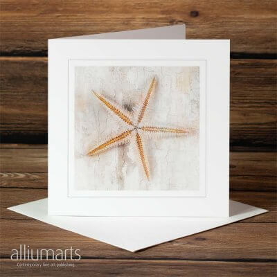 Starfish by Allium Arts shows a subtle, light starfish on a cracked, textured background.