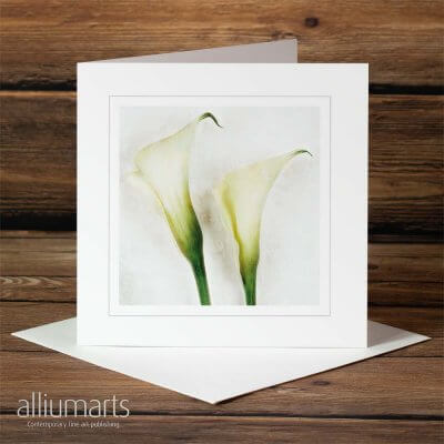 Two Callas by Allium Arts shows two callas covered in a dusting of frost, presented on a subtle textured background.